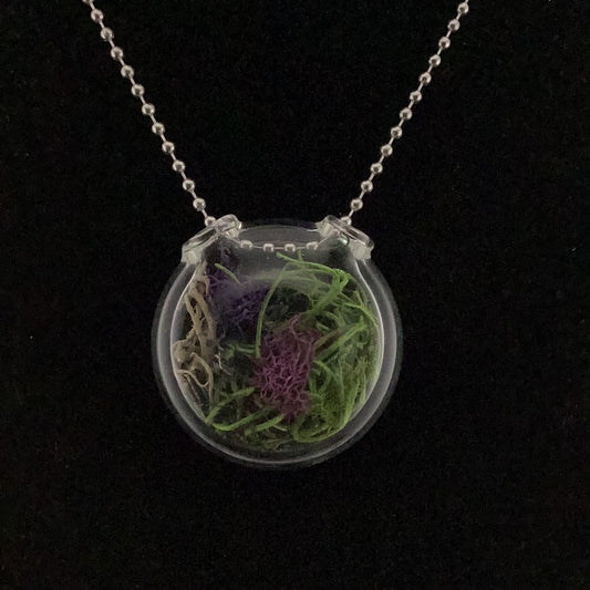 Terrarium pendant