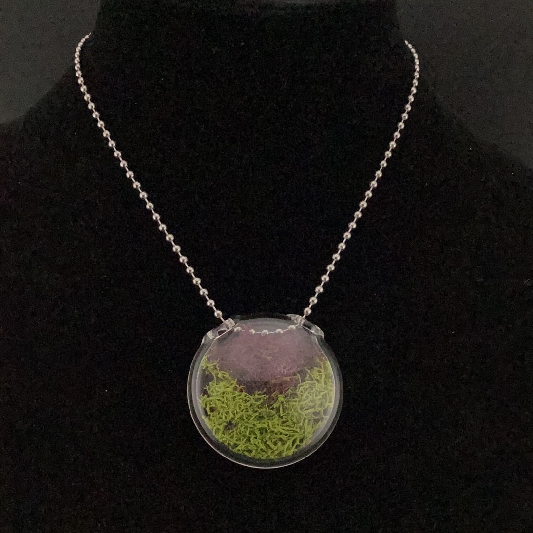 Terrarium pendant