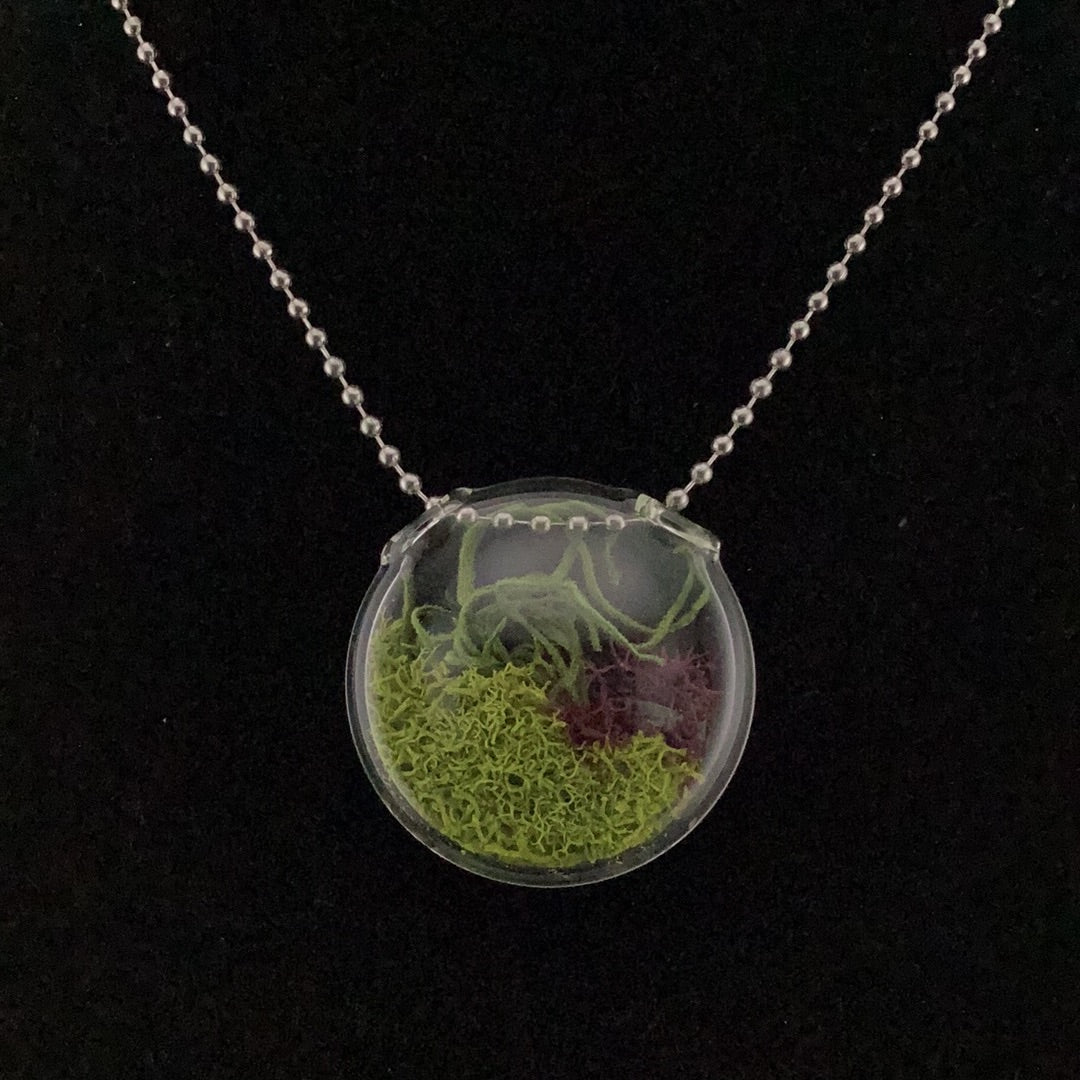 Terrarium pendant