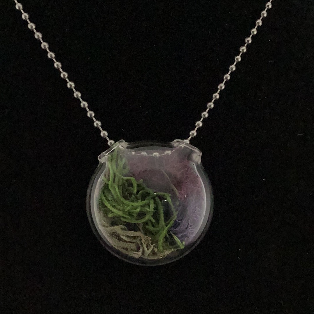 Terrarium pendant