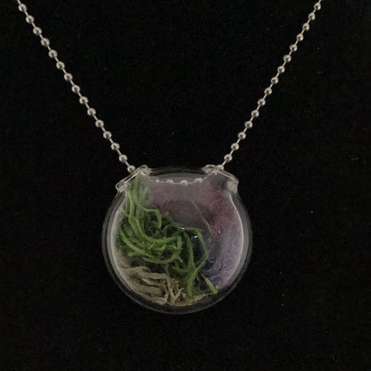 Terrarium pendant