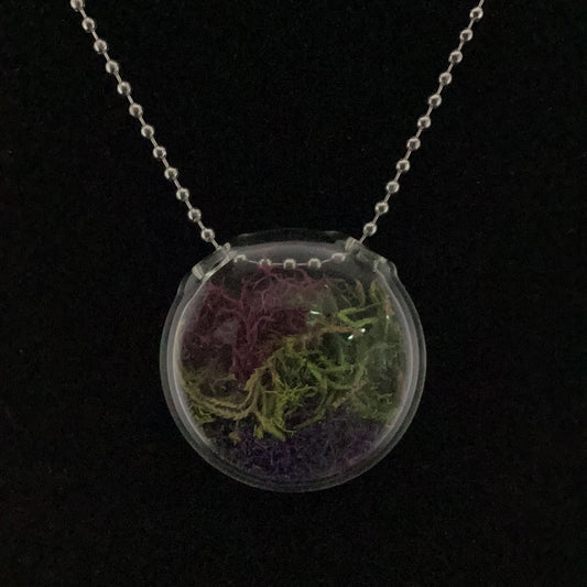 Terrarium pendant