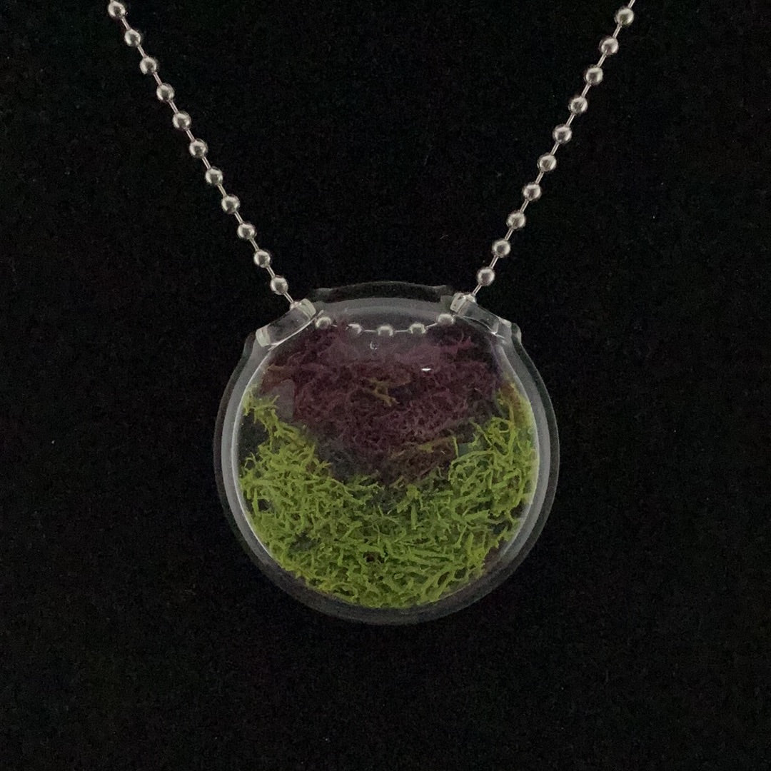 Terrarium pendant