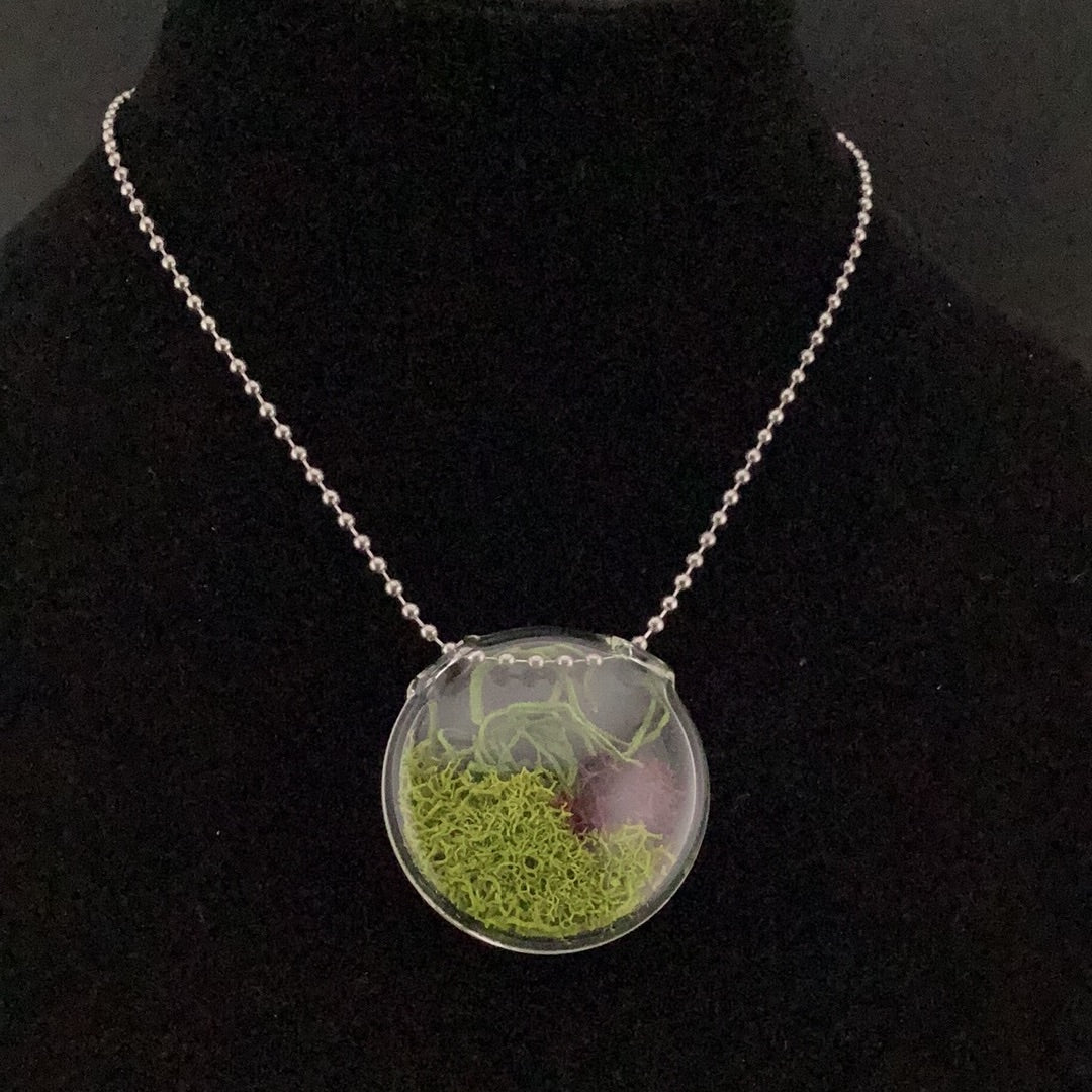 Terrarium pendant