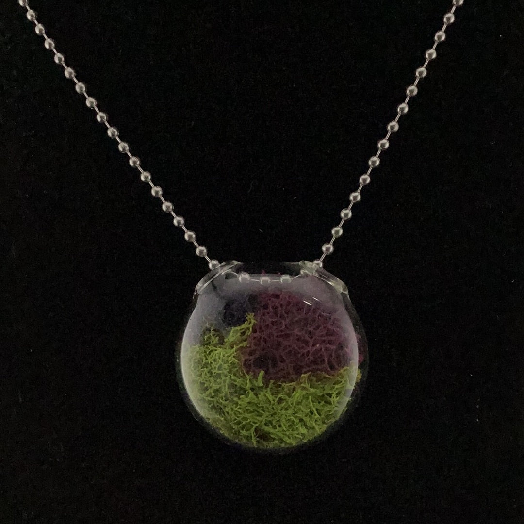 Terrarium pendant