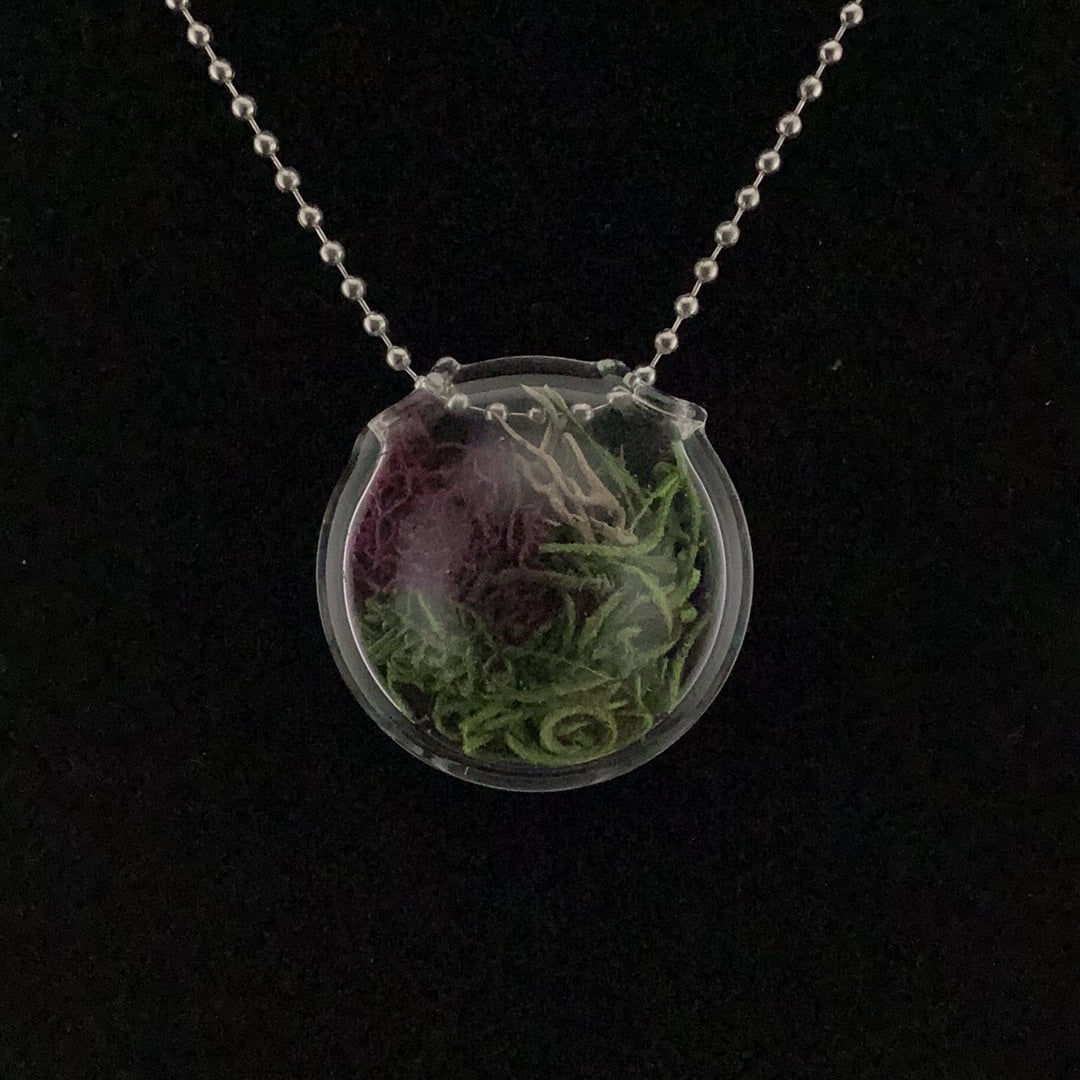 Terrarium pendant