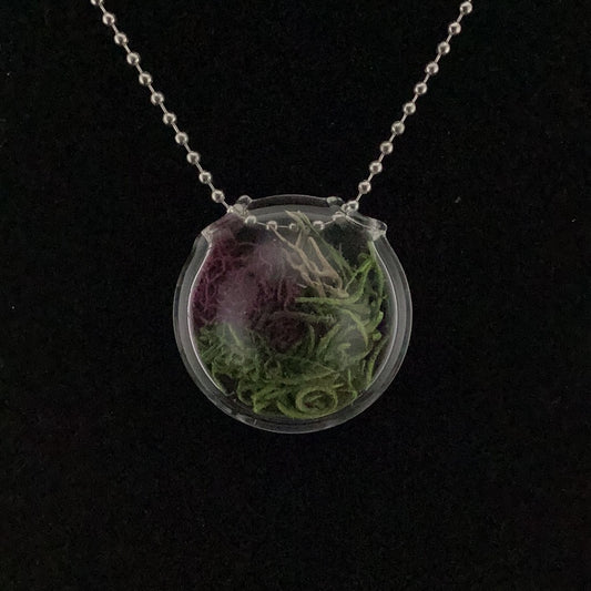 Terrarium pendant