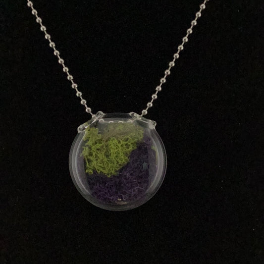 Terrarium pendant