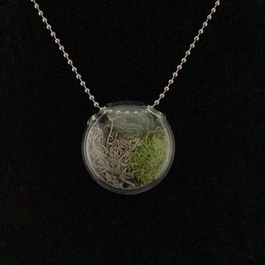 Terrarium pendant